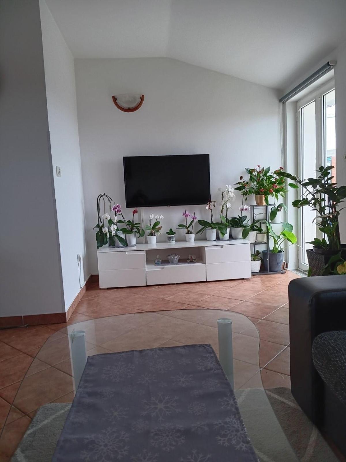Apartman Sara Rovinj Exteriör bild